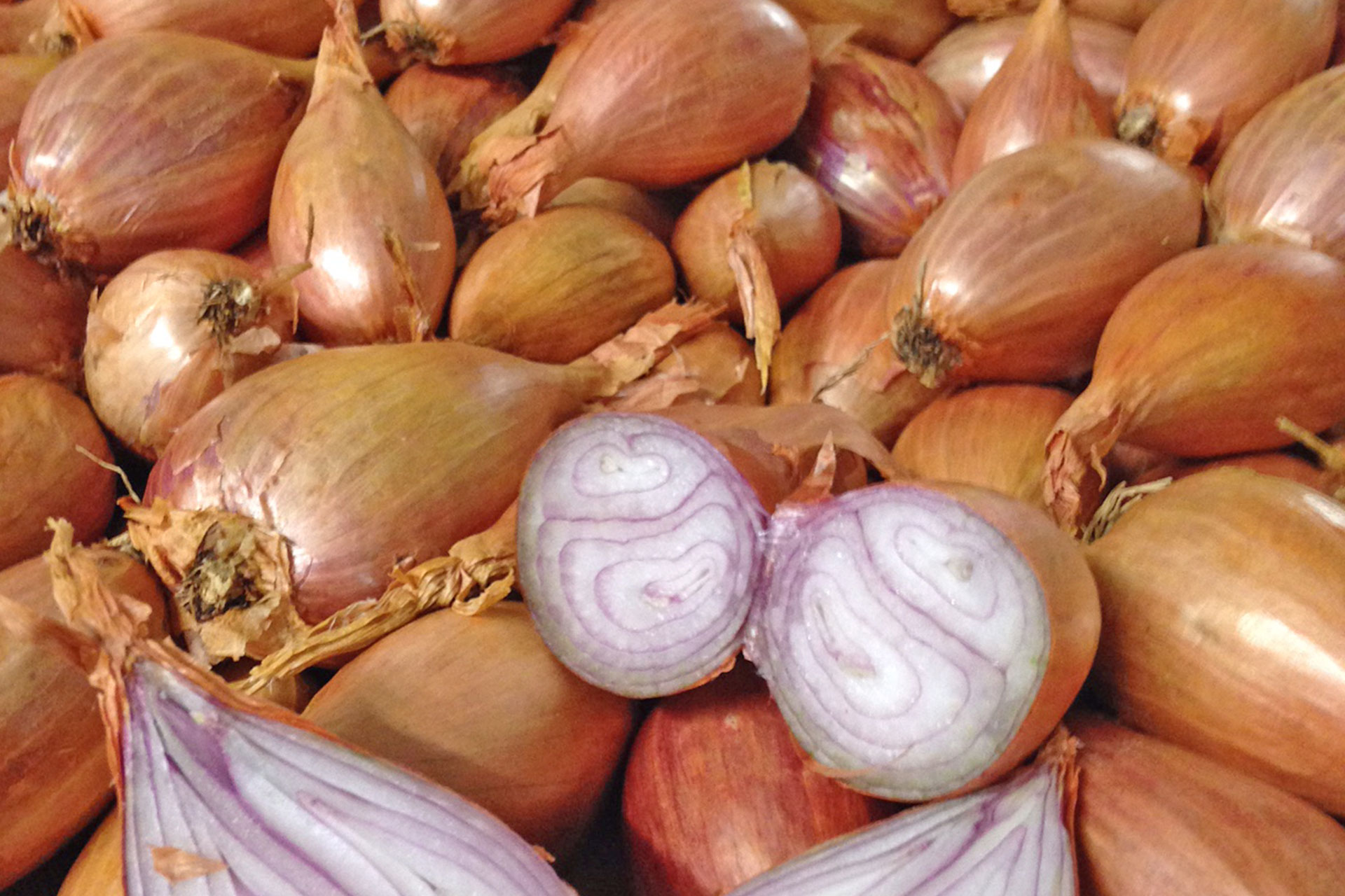 A close-up of brown onions piled on top of each other.